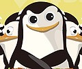 Die Pinguin Flucht Icon